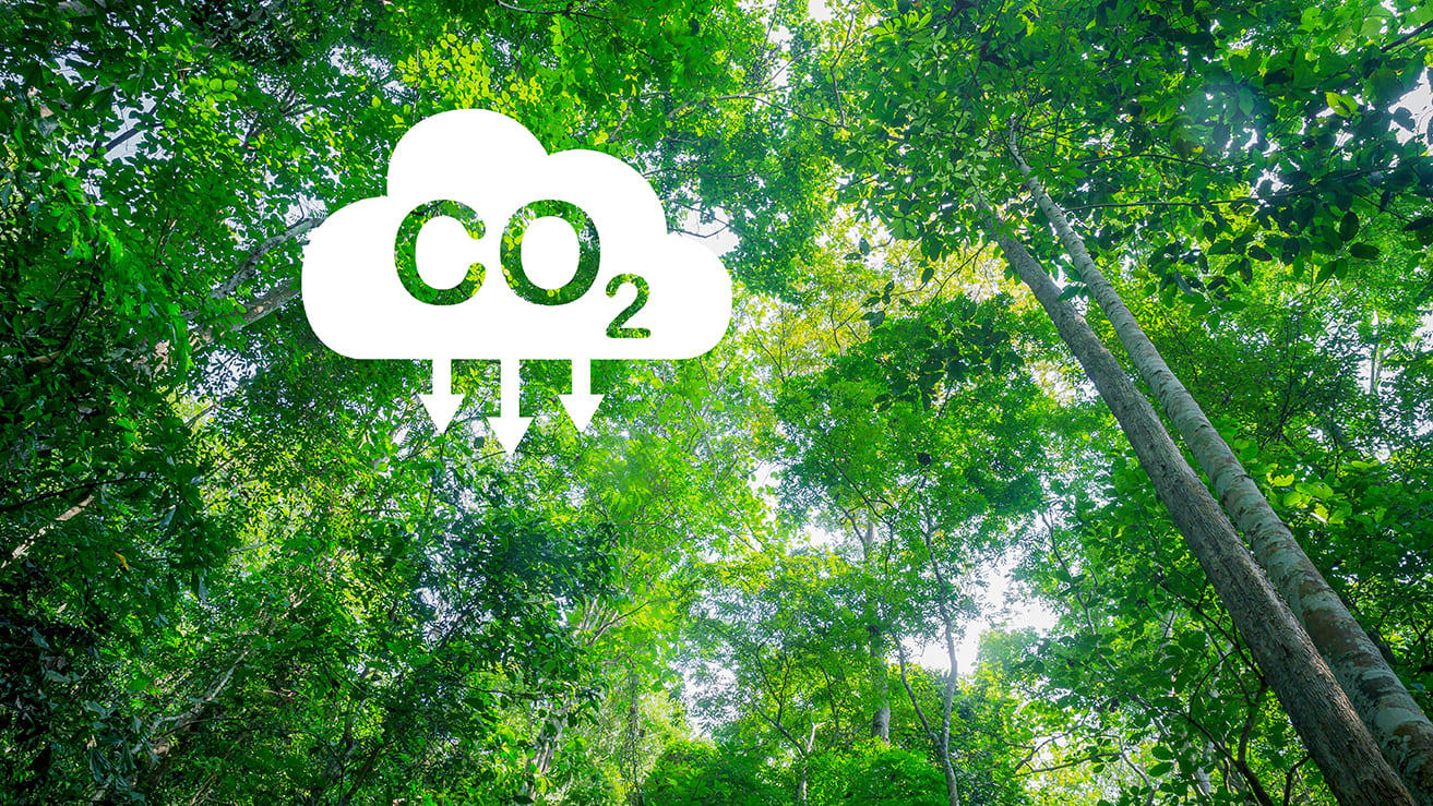 Reducción CO2